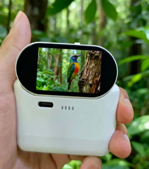 The AI images produced by SourcingYuan for camera customers 