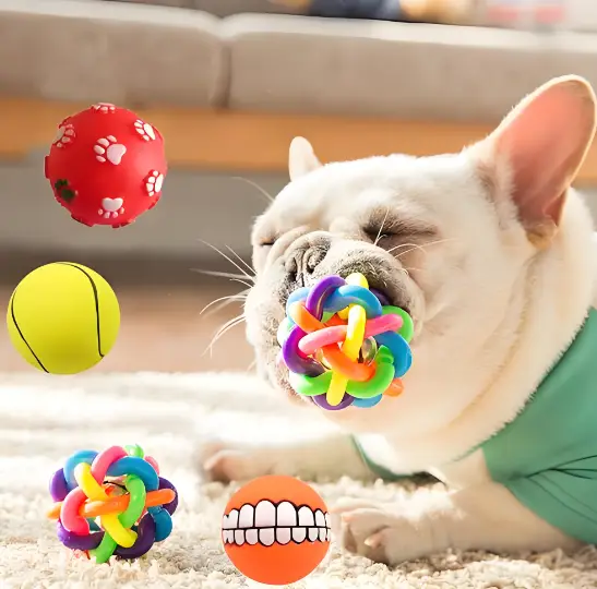 Cat & Dog Ball Toys
