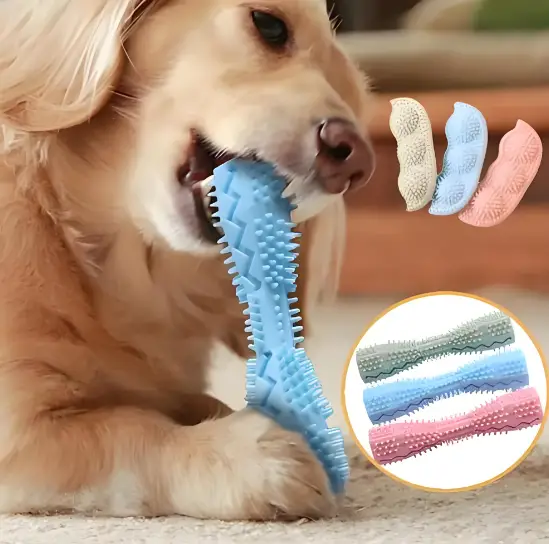 chew toys