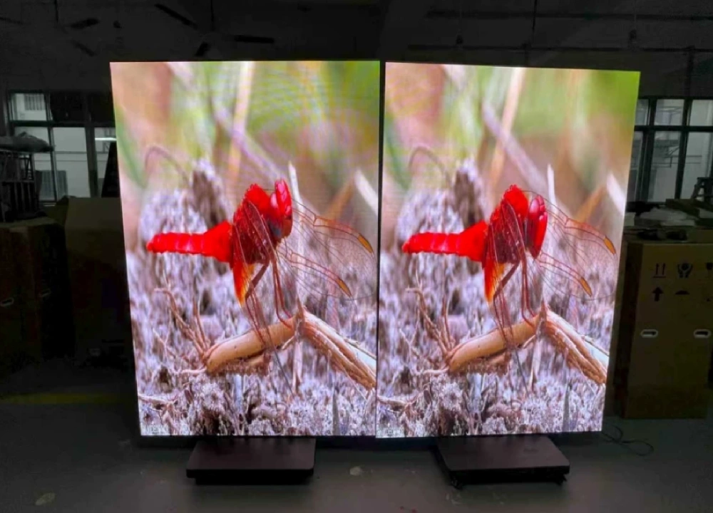 Prueba de pantalla LED de alta definición de fábrica Dragonfly