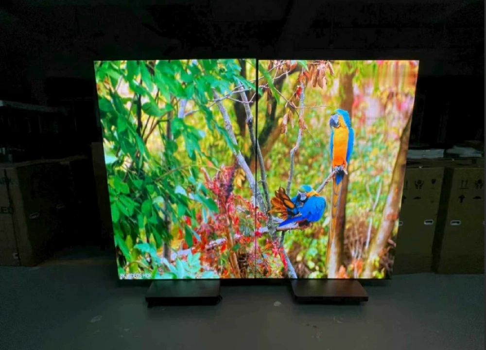 Prueba de pantalla LED de alta definición de la fábrica Parrot