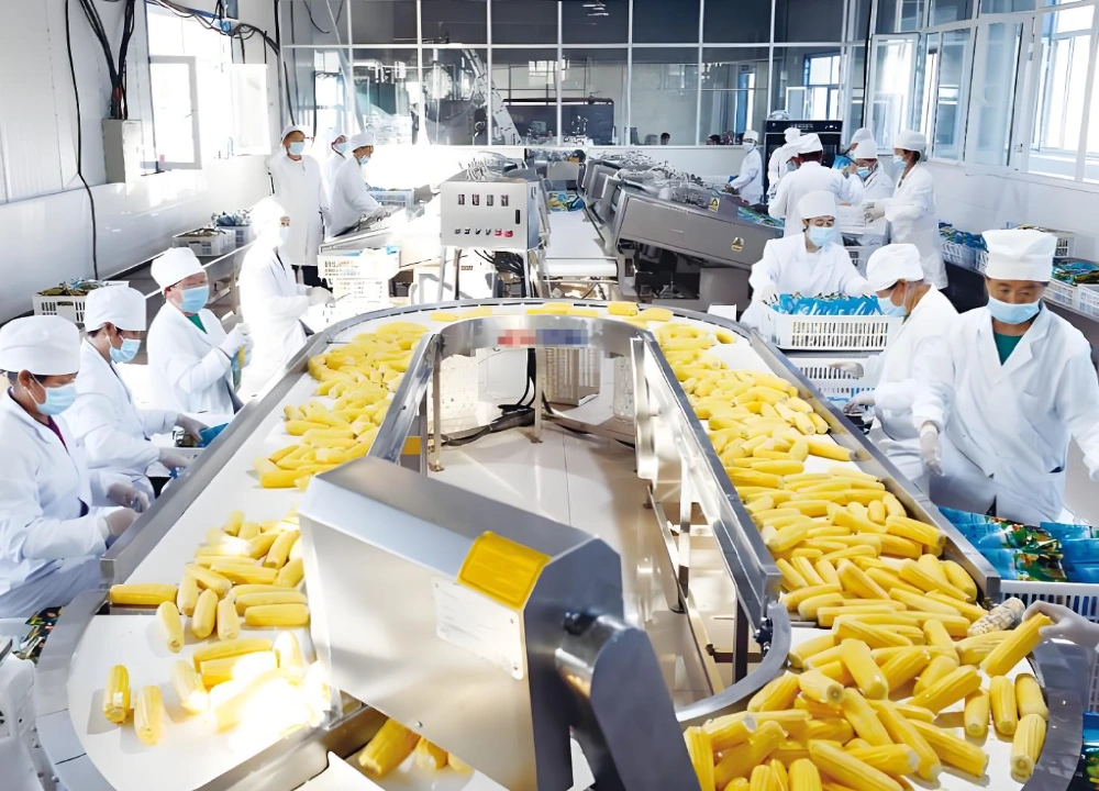 canton fair guide food processing equipment exhibit canton fair guide food processing equipment exhibit